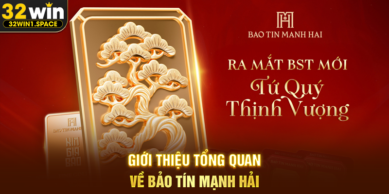 Giới Thiệu Tổng Quan Về Bảo Tín Mạnh Hải