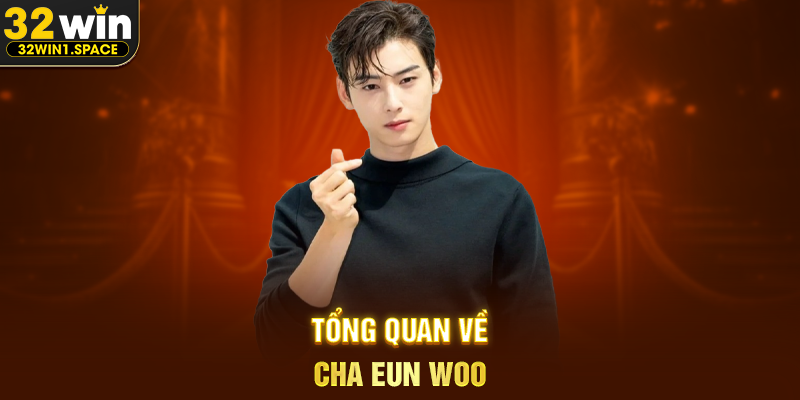 Tổng quan về Cha Eun Woo